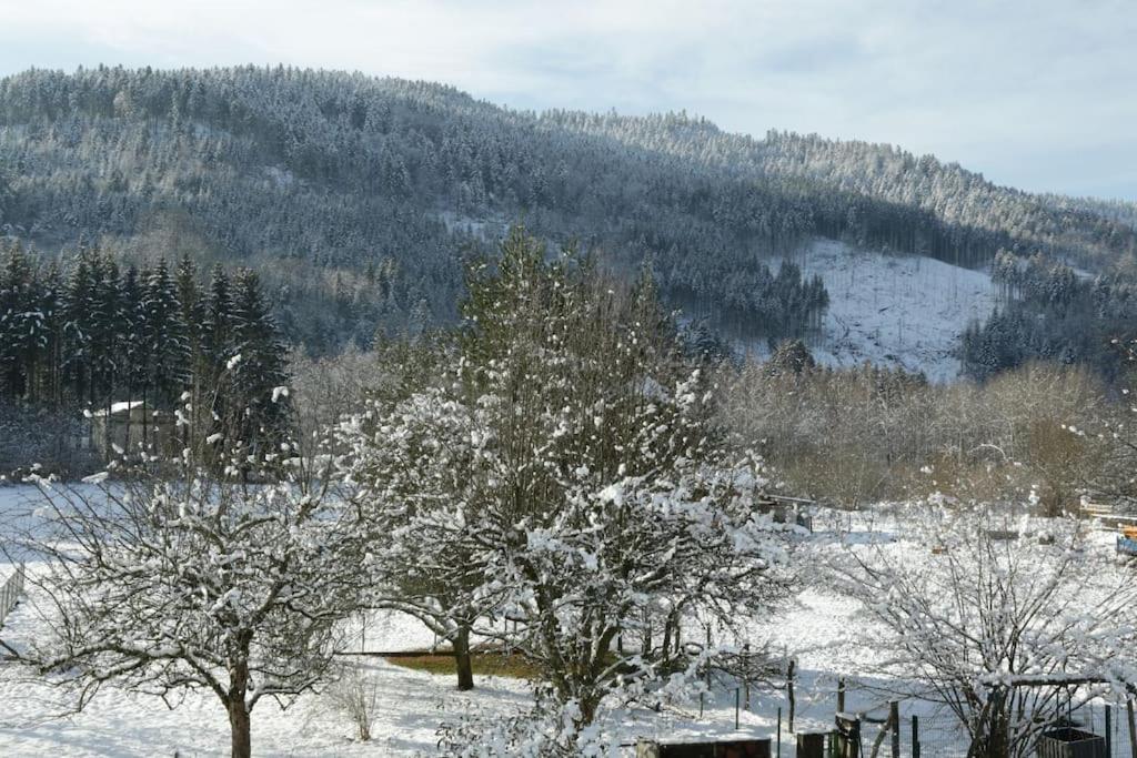 Chez Vovone 3 Etoiles Clevacances Saulxures-sur-Moselotte ภายนอก รูปภาพ