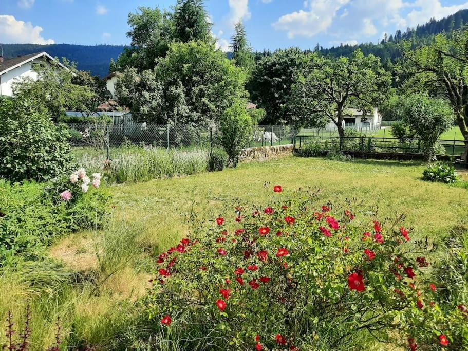 Chez Vovone 3 Etoiles Clevacances Saulxures-sur-Moselotte ภายนอก รูปภาพ