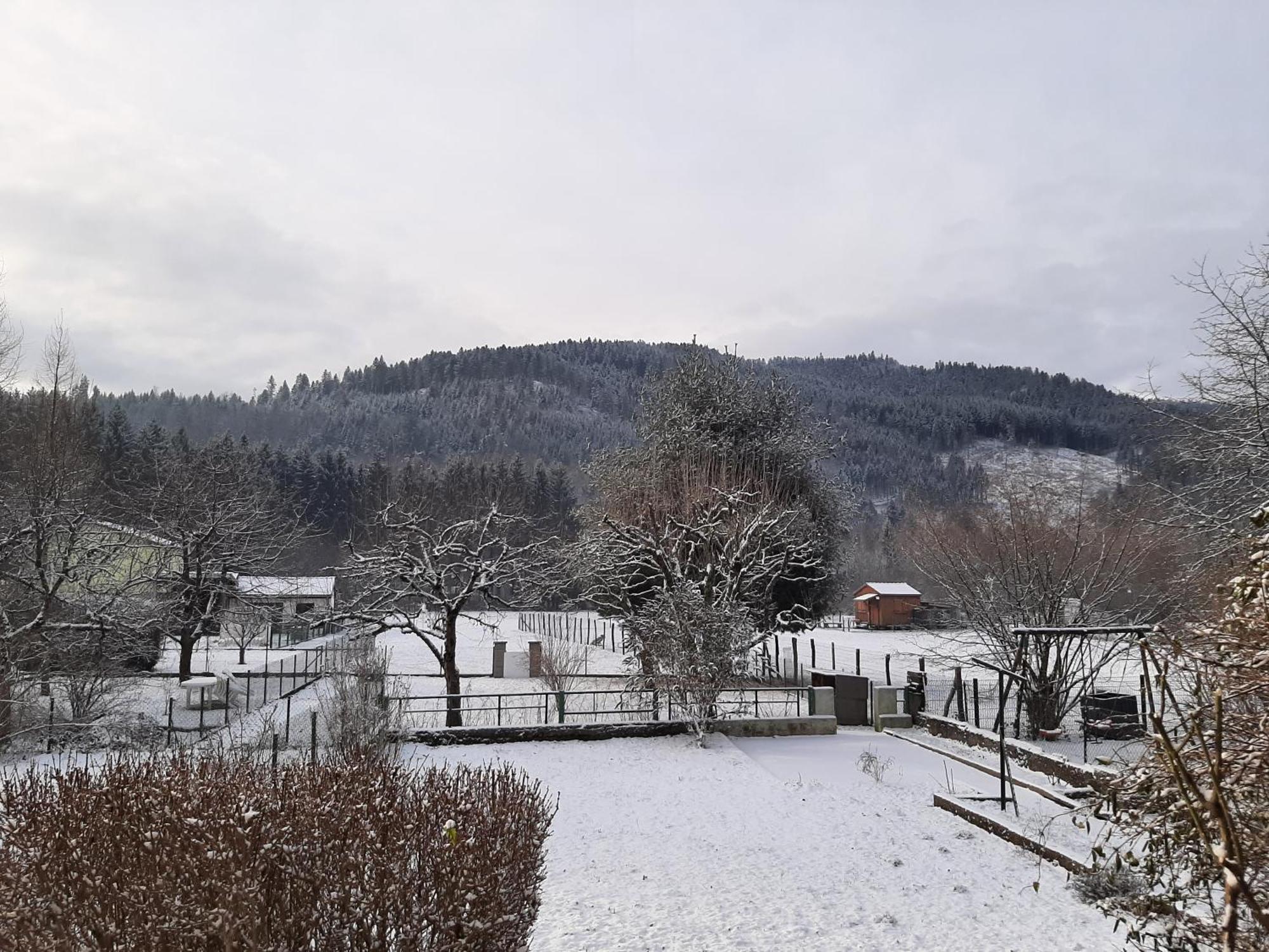 Chez Vovone 3 Etoiles Clevacances Saulxures-sur-Moselotte ภายนอก รูปภาพ
