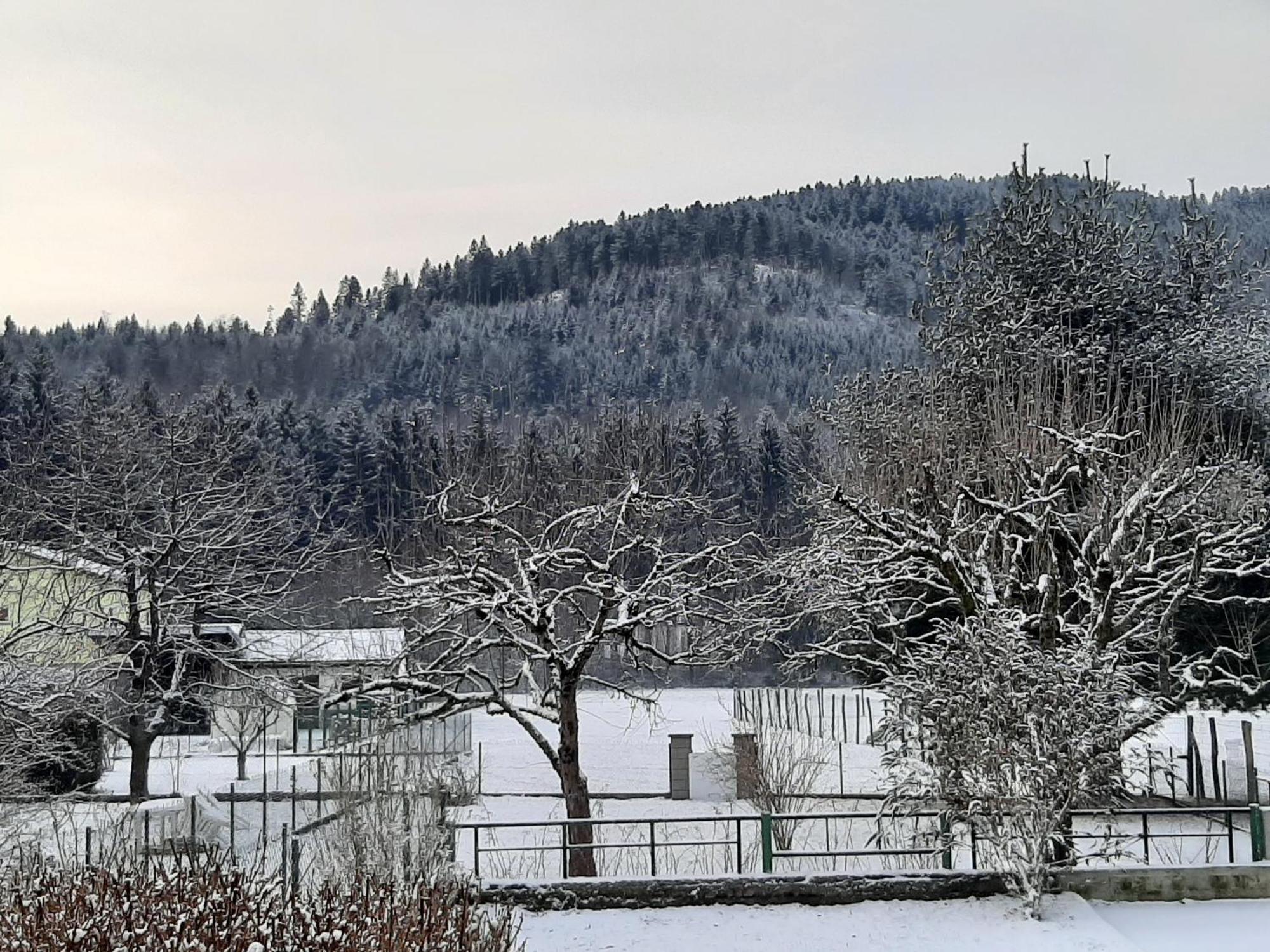 Chez Vovone 3 Etoiles Clevacances Saulxures-sur-Moselotte ภายนอก รูปภาพ