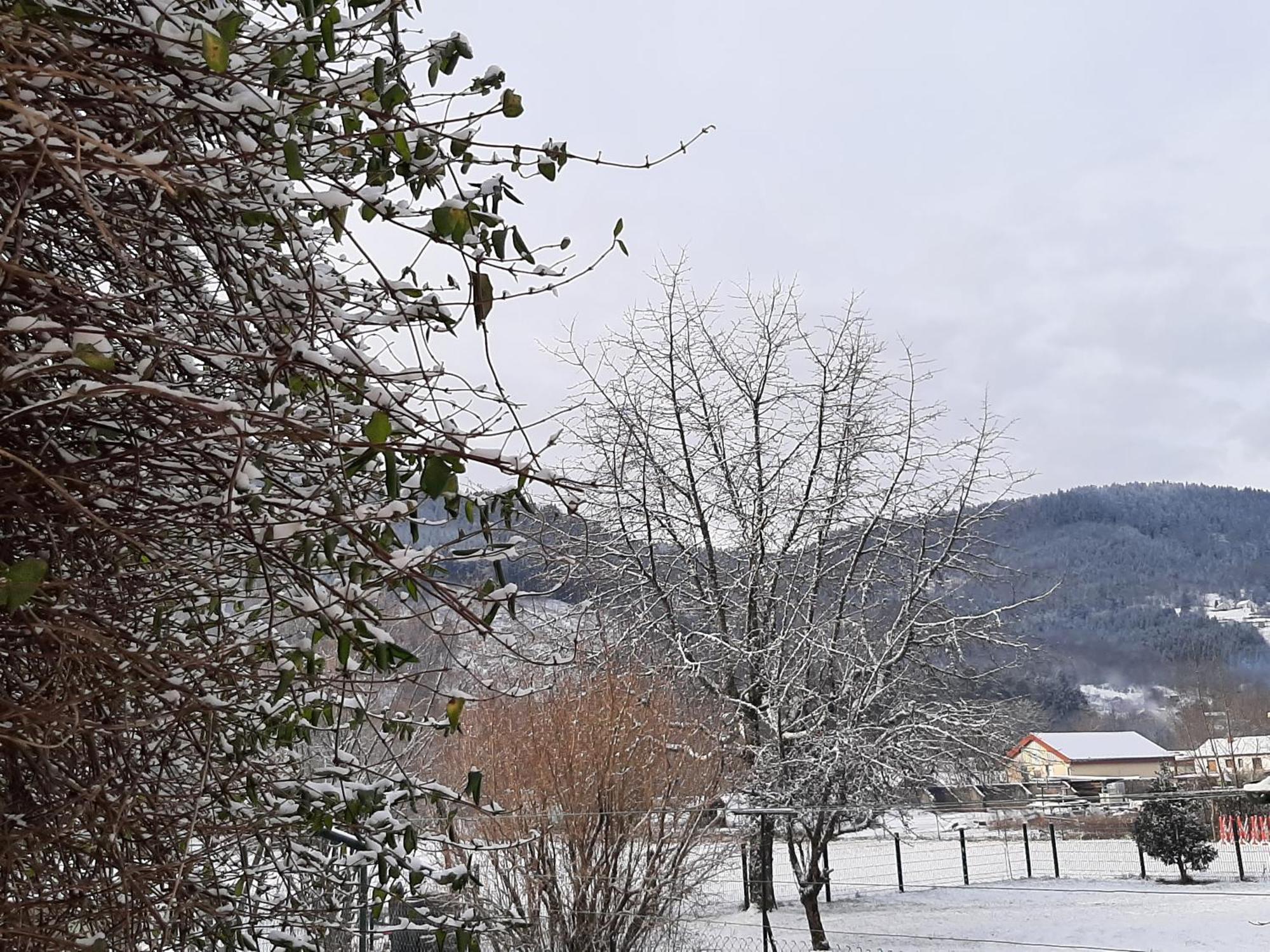Chez Vovone 3 Etoiles Clevacances Saulxures-sur-Moselotte ภายนอก รูปภาพ