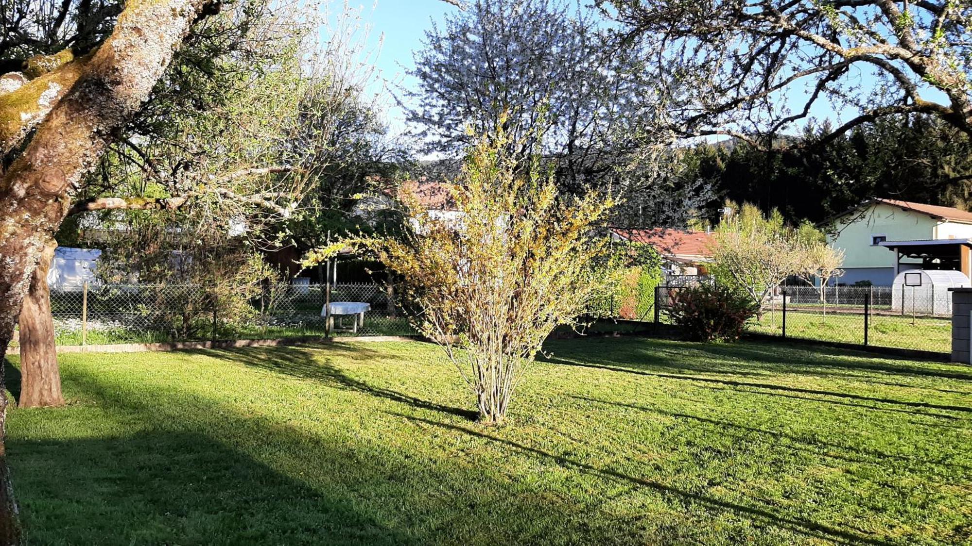 Chez Vovone 3 Etoiles Clevacances Saulxures-sur-Moselotte ภายนอก รูปภาพ