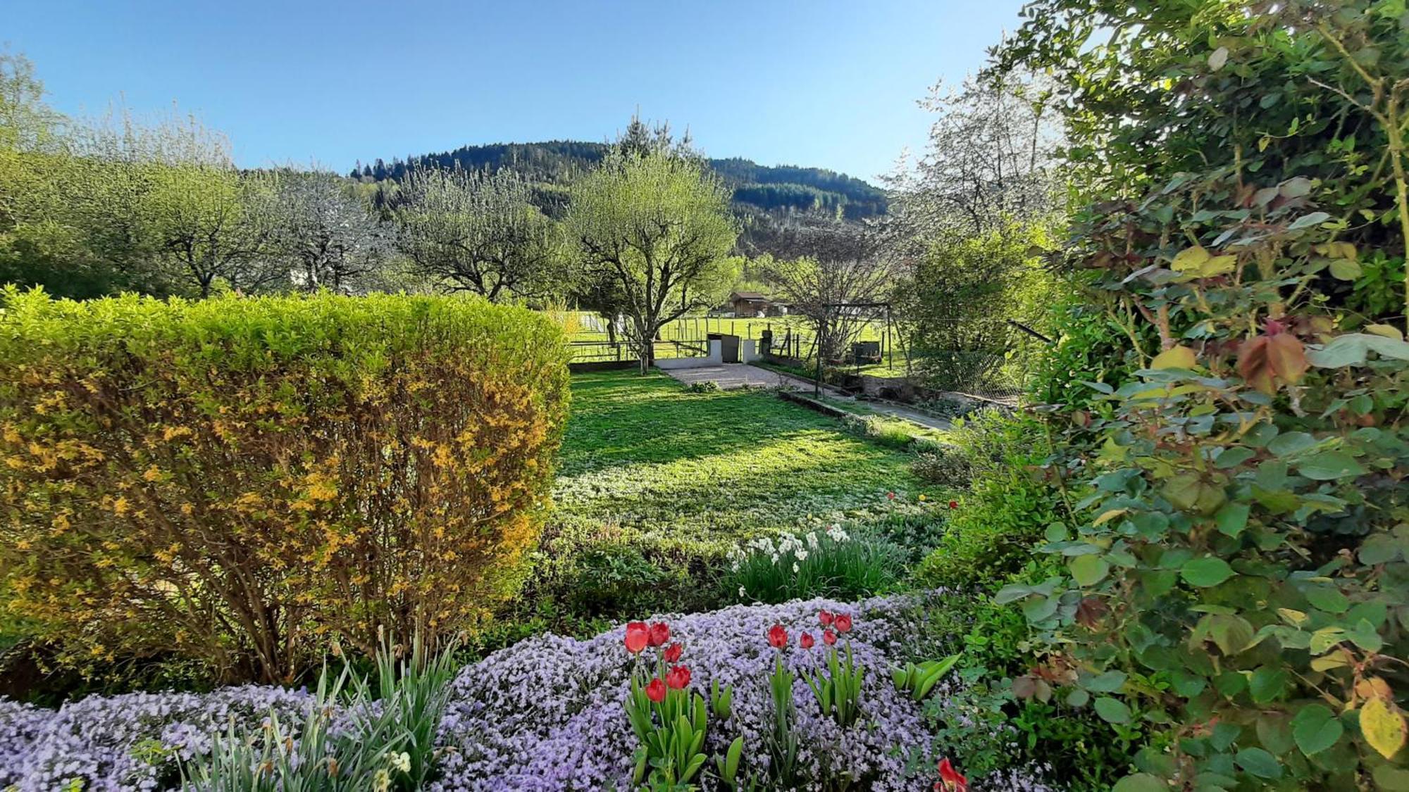 Chez Vovone 3 Etoiles Clevacances Saulxures-sur-Moselotte ภายนอก รูปภาพ