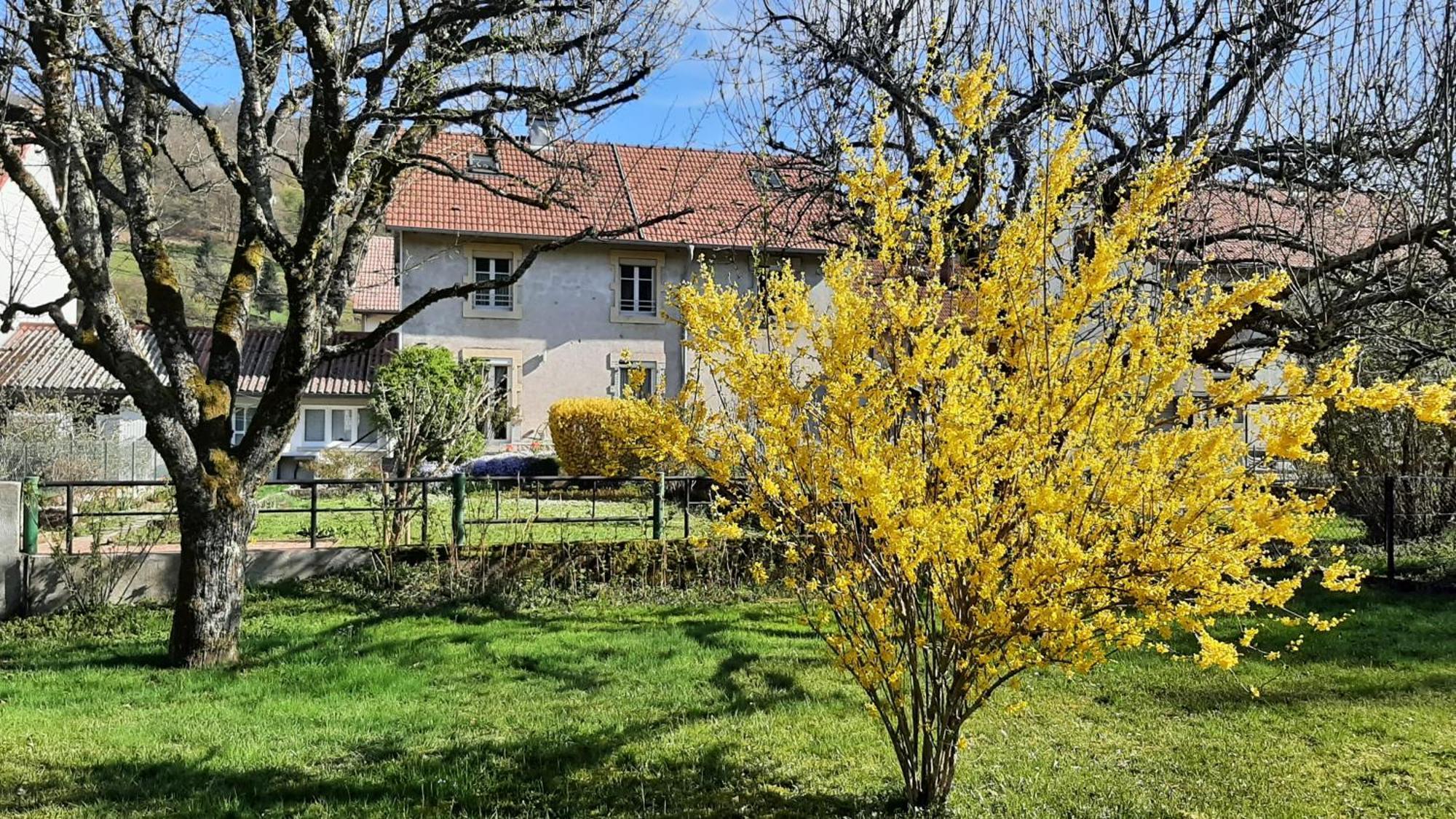 Chez Vovone 3 Etoiles Clevacances Saulxures-sur-Moselotte ภายนอก รูปภาพ