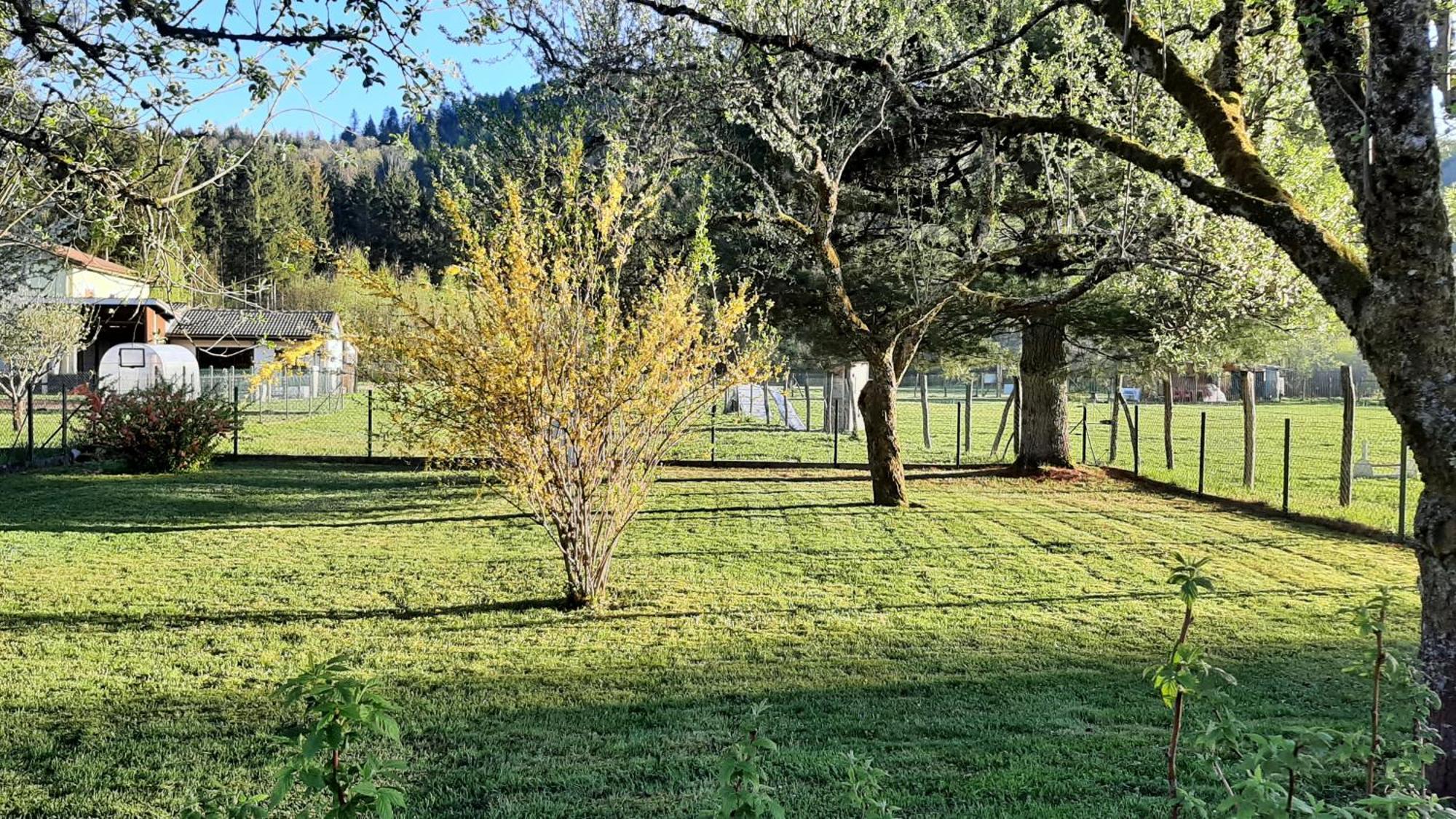 Chez Vovone 3 Etoiles Clevacances Saulxures-sur-Moselotte ภายนอก รูปภาพ