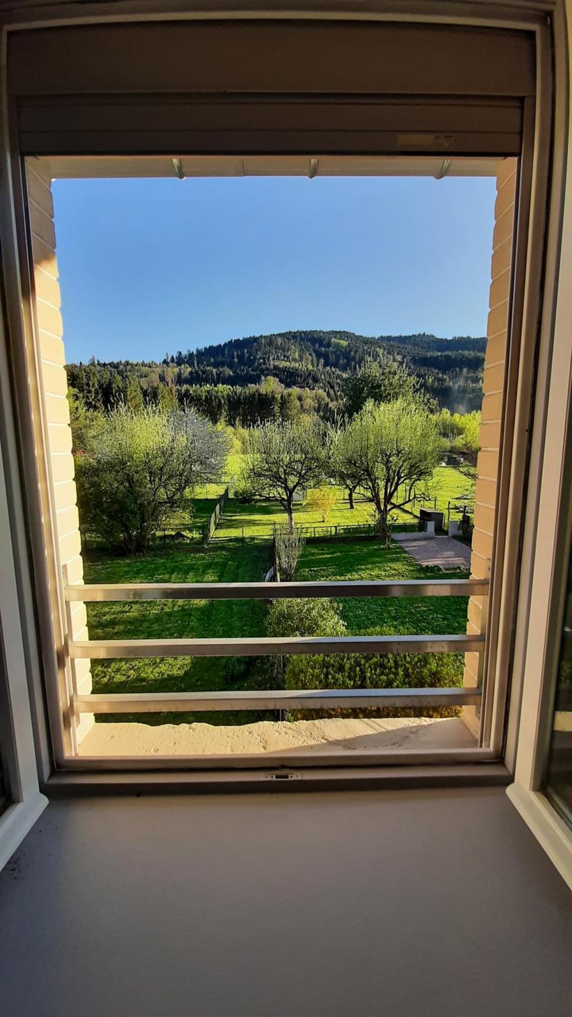Chez Vovone 3 Etoiles Clevacances Saulxures-sur-Moselotte ภายนอก รูปภาพ